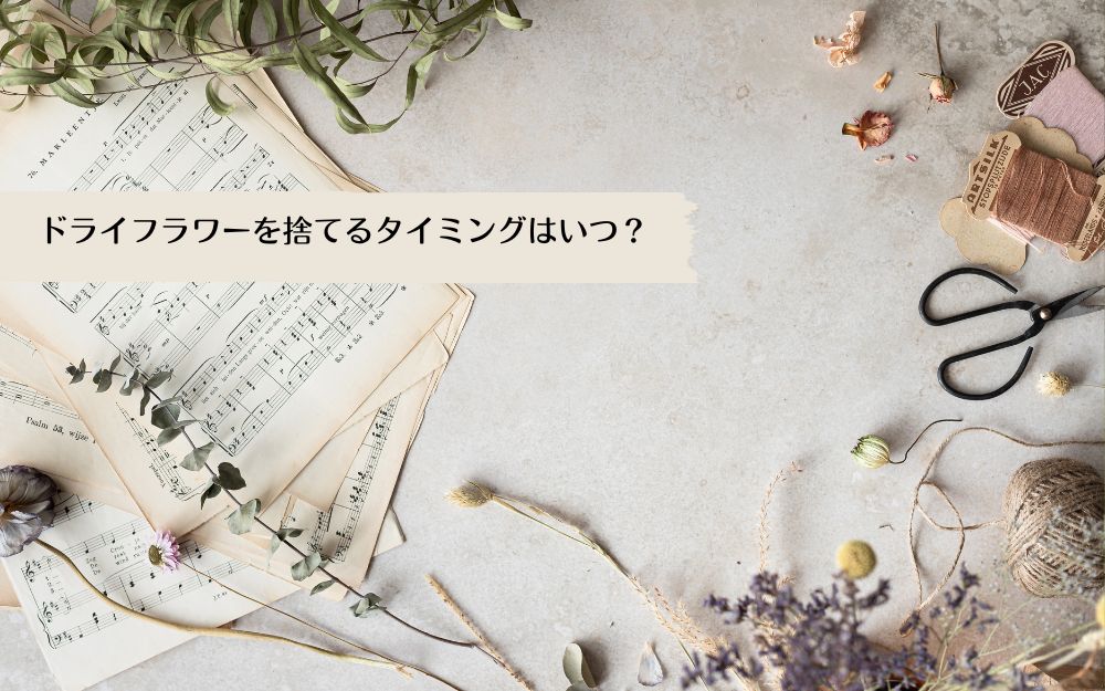 ドライフラワーの保管方法は？長持ちさせるコツや保存期間についても